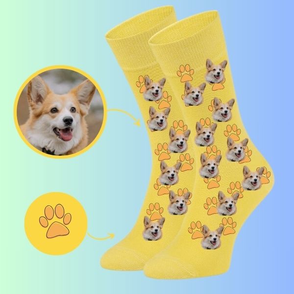 Custom dog paw socks