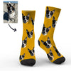 Custom Dog Face Socks