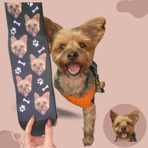 Custom Three Dogs Socks from Photo