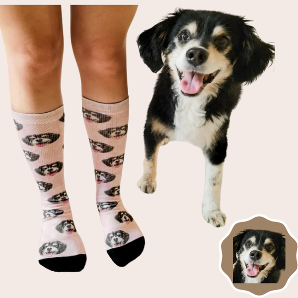 Custom Dog Face Socks